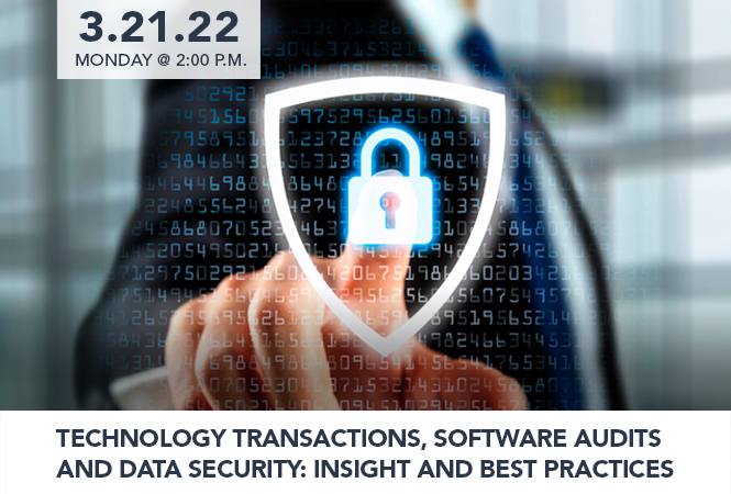 Technology Transactions, Software Audits and Data Security: Insight and Best Practices