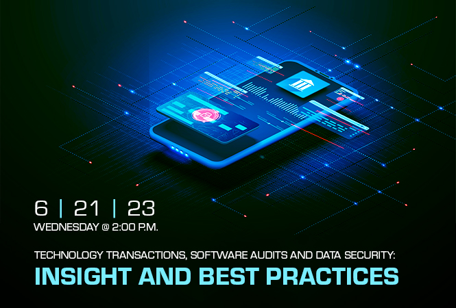 Technology Transactions, Software Audits and Data Security: Insight and Best Practices