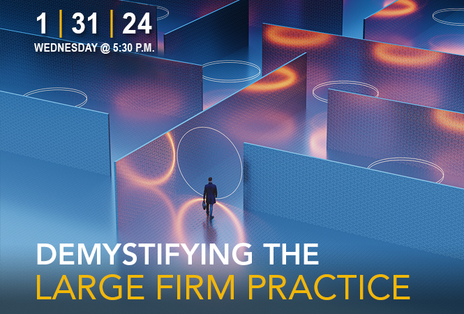 Demystifying the Large Firm Practice
