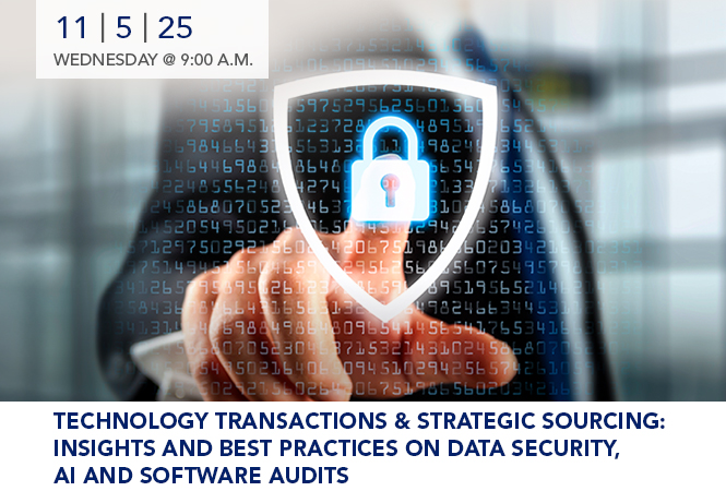 Technology Transactions & Strategic Sourcing: Insights and Best Practices on Data Security, AI and Software Audits