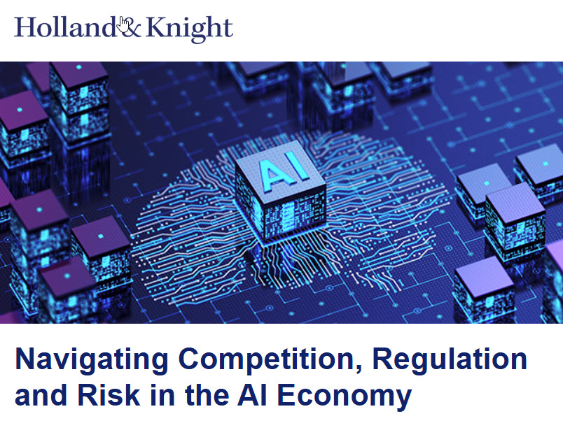 Navigating Competition, Regulation and Risk in the AI Economy