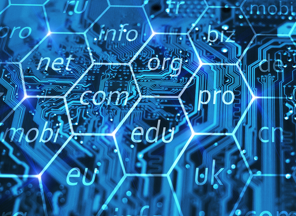 Website Agreements and Domain Names