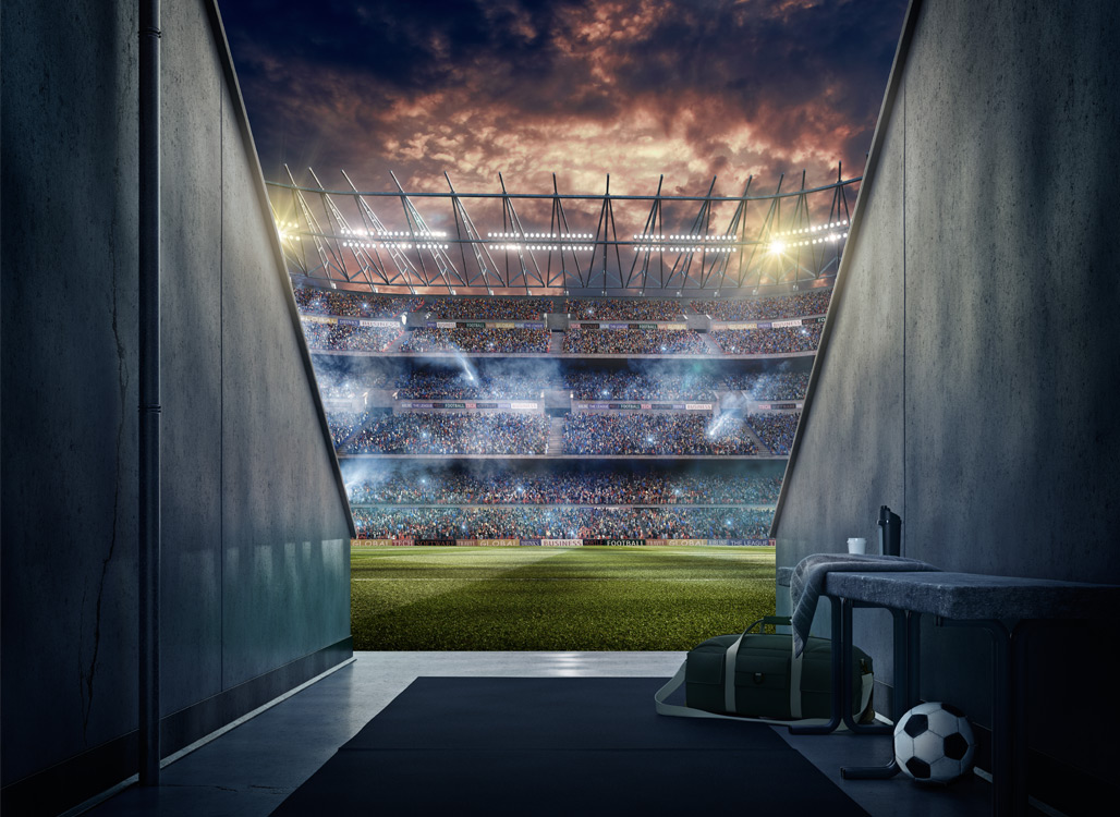 Sports stadium and field