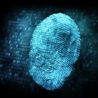 Data Strategy, Security & Privacy | Practices - Holland & Knight